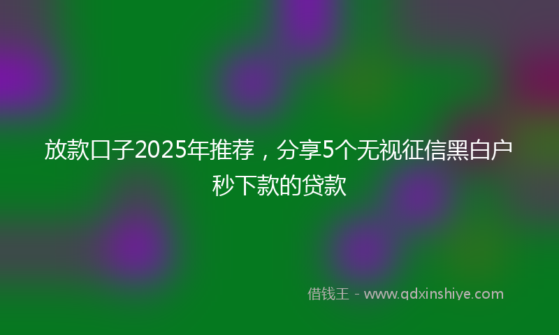放款口子2025年推荐，分享5个无视征信黑白户秒下款的贷款