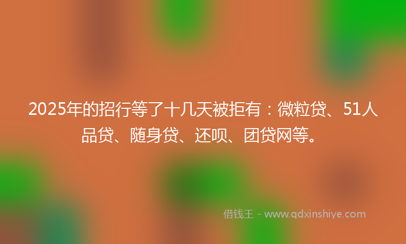 2025年的招行等了十几天被拒有：微粒贷、51人品贷、随身贷、还呗、团贷网等。
