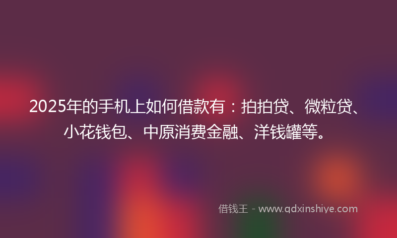 2025年的手机上如何借款有：拍拍贷、微粒贷、小花钱包、中原消费金融、洋钱罐等。