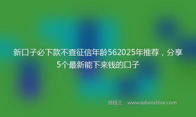 新口子必下款不查征信年龄562025年推荐，分享5个最新能下来钱的口子