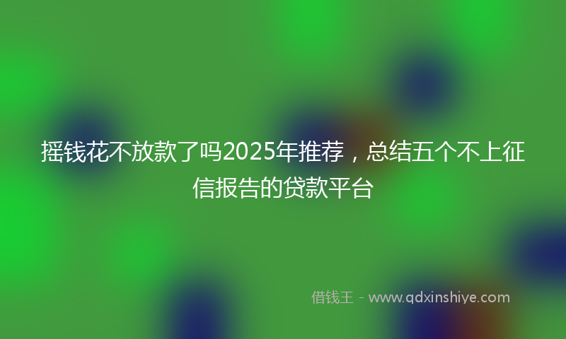 摇钱花不放款了吗2025年推荐，总结五个不上征信报告的贷款平台