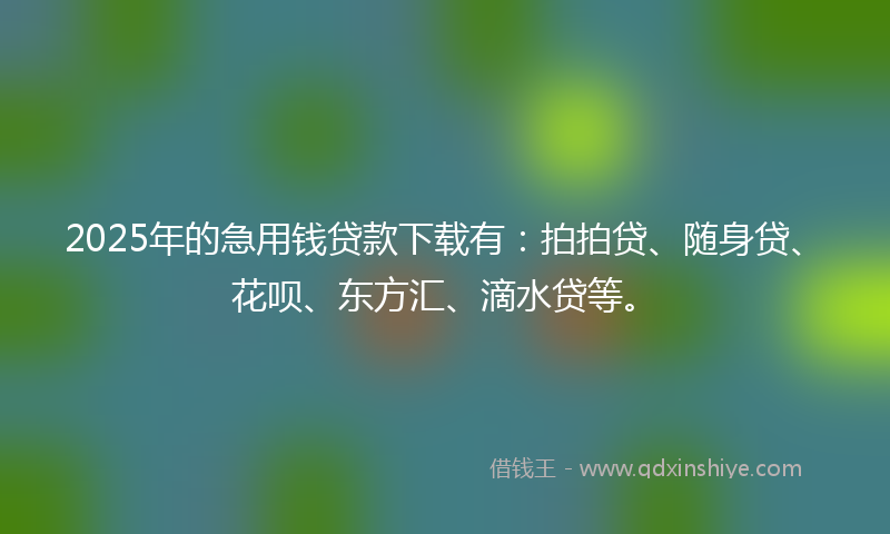 2025年的急用钱贷款下载有：拍拍贷、随身贷、花呗、东方汇、滴水贷等。