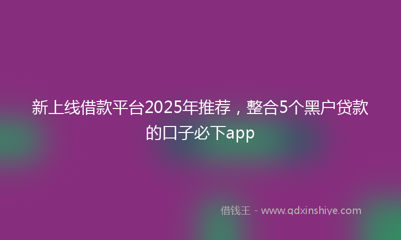 新上线借款平台2025年推荐，整合5个黑户贷款的口子必下app