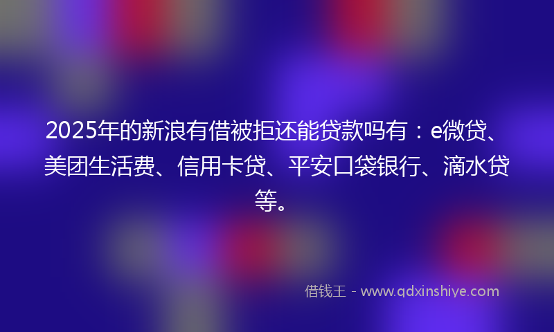 2025年的新浪有借被拒还能贷款吗有：e微贷、美团生活费、信用卡贷、平安口袋银行、滴水贷等。