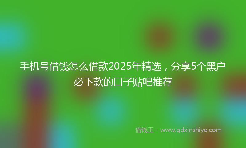 手机号借钱怎么借款2025年精选，分享5个黑户必下款的口子贴吧推荐