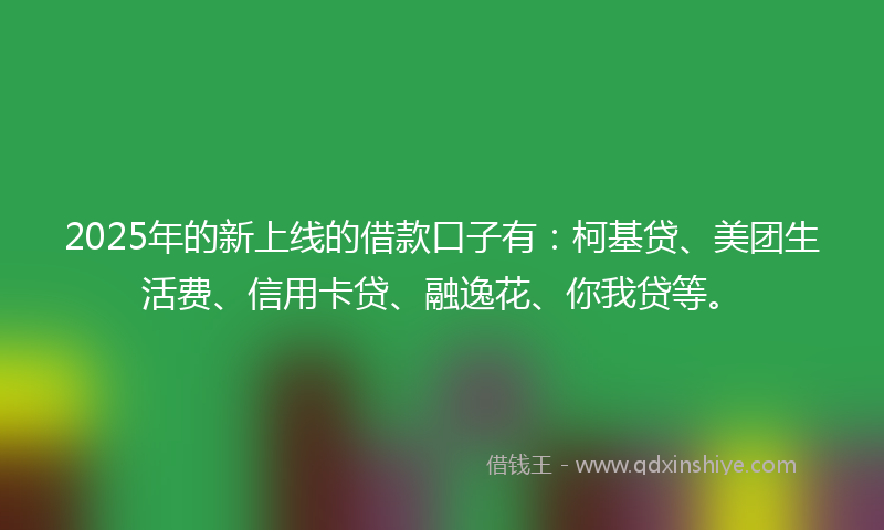 2025年的新上线的借款口子有：柯基贷、美团生活费、信用卡贷、融逸花、你我贷等。