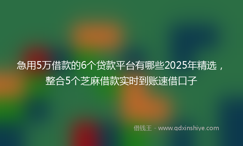 急用5万借款的6个贷款平台有哪些2025年精选，整合5个芝麻借款实时到账速借口子