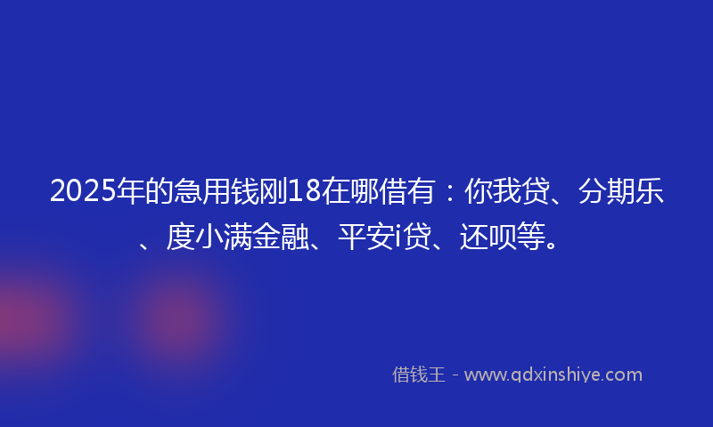 2025年的急用钱刚18在哪借有：你我贷、分期乐、度小满金融、平安i贷、还呗等。