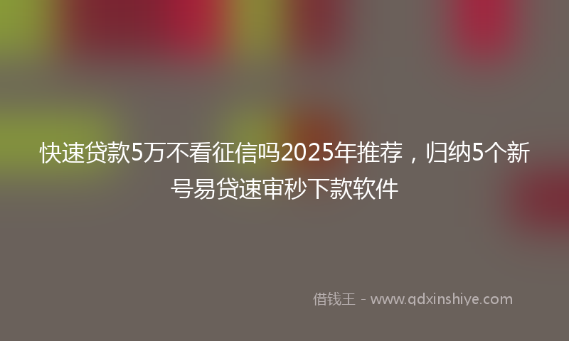 快速贷款5万不看征信吗2025年推荐，归纳5个新号易贷速审秒下款软件