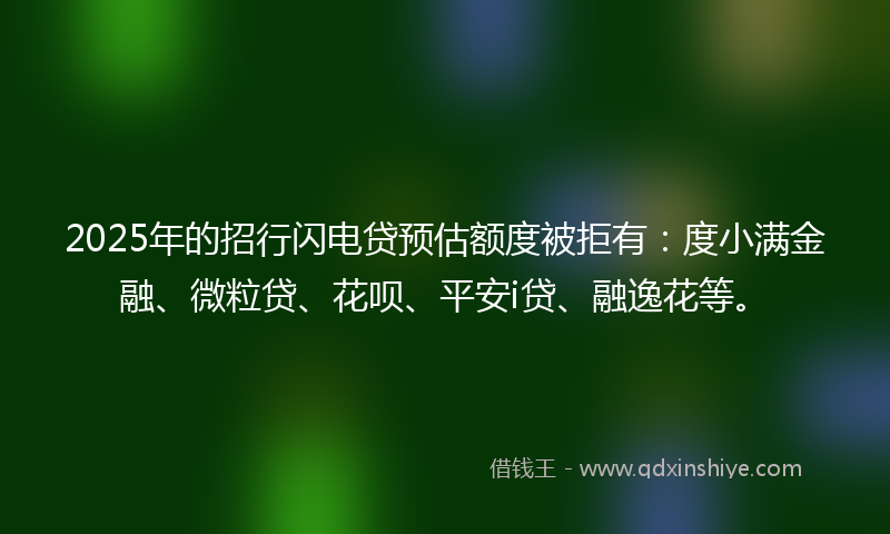 2025年的招行闪电贷预估额度被拒有：度小满金融、微粒贷、花呗、平安i贷、融逸花等。
