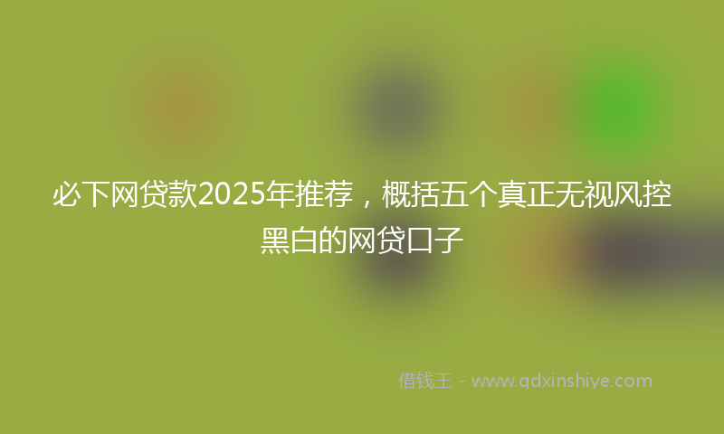 必下网贷款2025年推荐，概括五个真正无视风控黑白的网贷口子