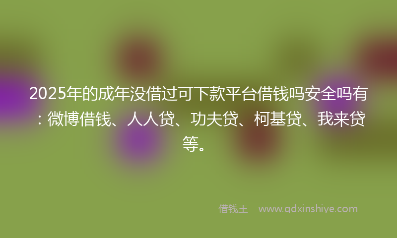 2025年的成年没借过可下款平台借钱吗安全吗有：微博借钱、人人贷、功夫贷、柯基贷、我来贷等。