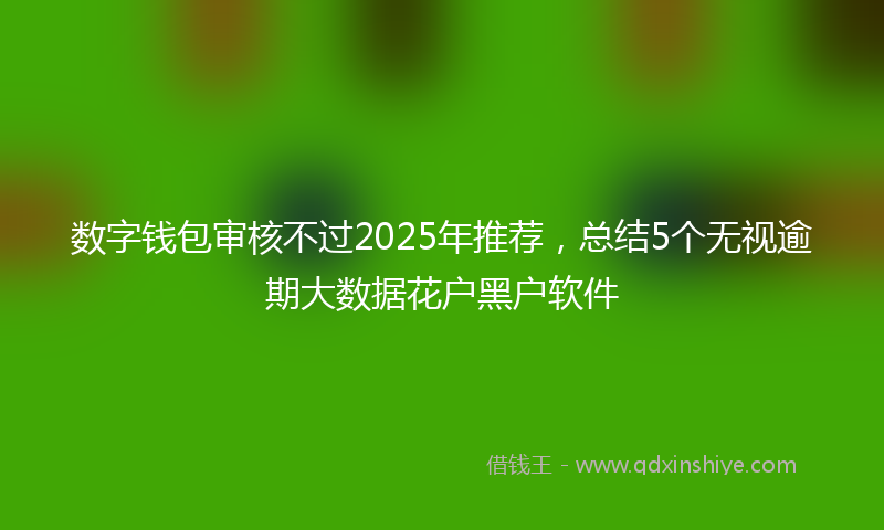 数字钱包审核不过2025年推荐，总结5个无视逾期大数据花户黑户软件