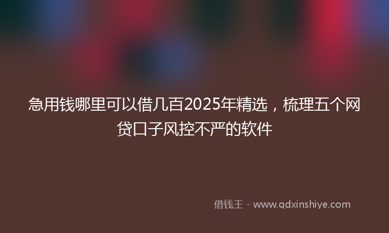 急用钱哪里可以借几百2025年精选，梳理五个网贷口子风控不严的软件