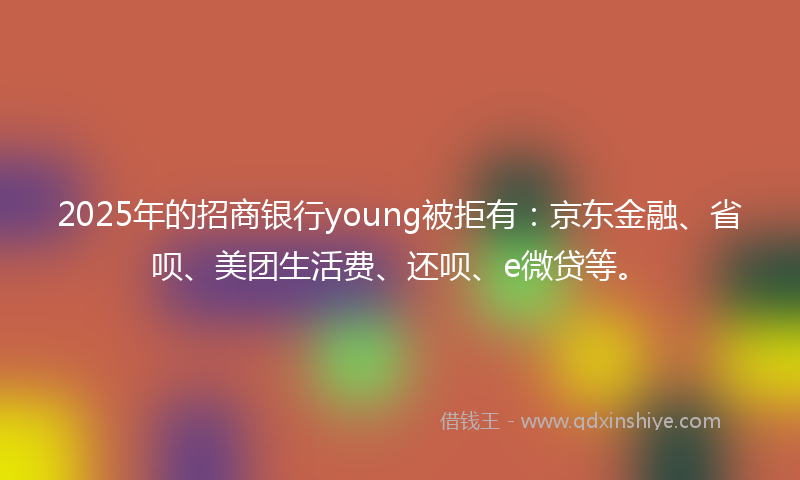 2025年的招商银行young被拒有：京东金融、省呗、美团生活费、还呗、e微贷等。