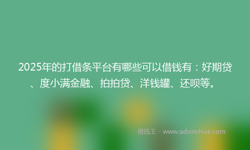 2025年的打借条平台有哪些可以借钱有：好期贷、度小满金融、拍拍贷、洋钱罐、还呗等。