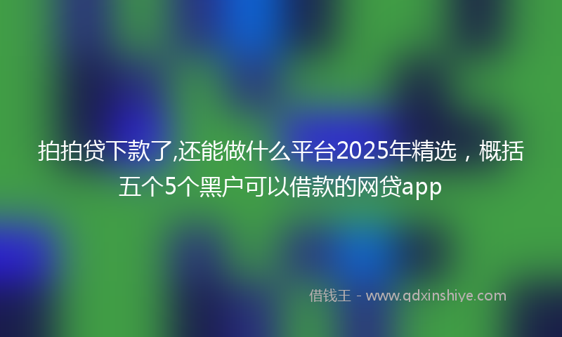 拍拍贷下款了,还能做什么平台2025年精选，概括五个5个黑户可以借款的网贷app
