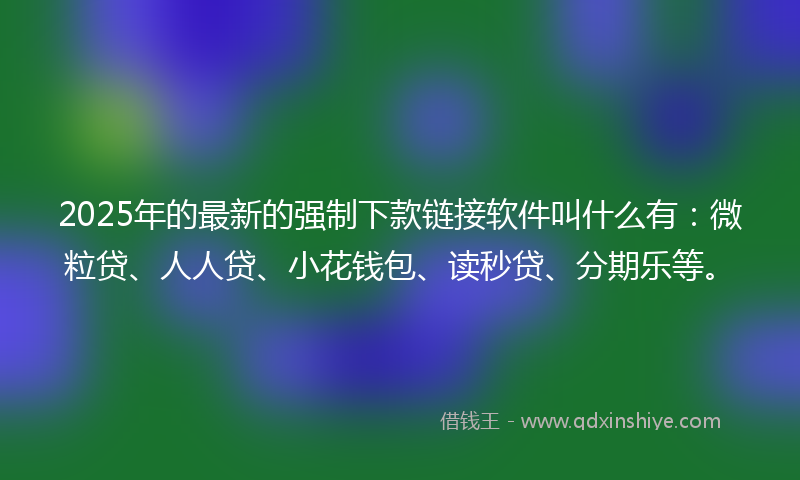 2025年的最新的强制下款链接软件叫什么有：微粒贷、人人贷、小花钱包、读秒贷、分期乐等。