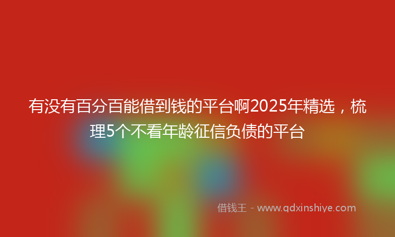 有没有百分百能借到钱的平台啊2025年精选，梳理5个不看年龄征信负债的平台