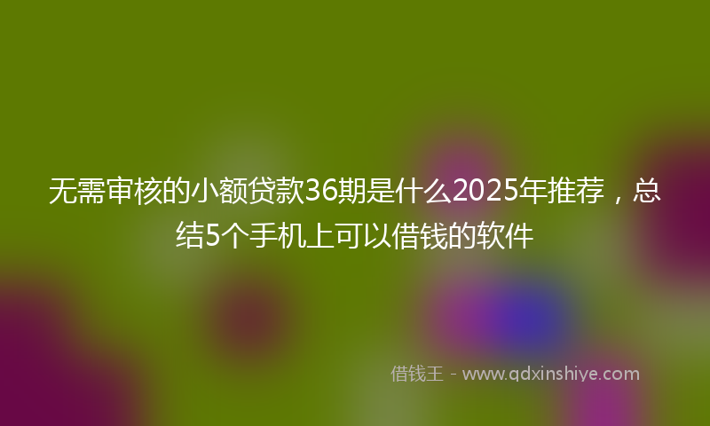无需审核的小额贷款36期是什么2025年推荐，总结5个手机上可以借钱的软件