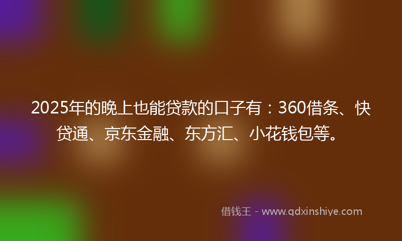 2025年的晚上也能贷款的口子有：360借条、快贷通、京东金融、东方汇、小花钱包等。