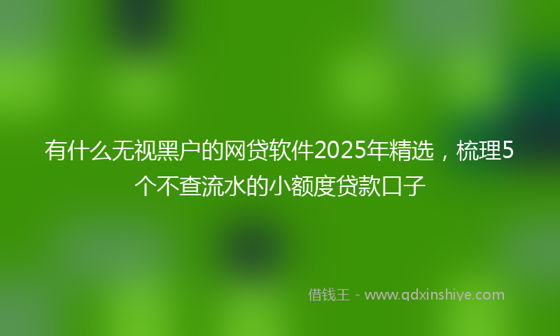 有什么无视黑户的网贷软件2025年精选，梳理5个不查流水的小额度贷款口子