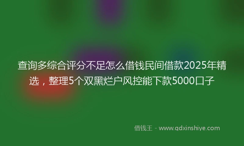查询多综合评分不足怎么借钱民间借款2025年精选，整理5个双黑烂户风控能下款5000口子