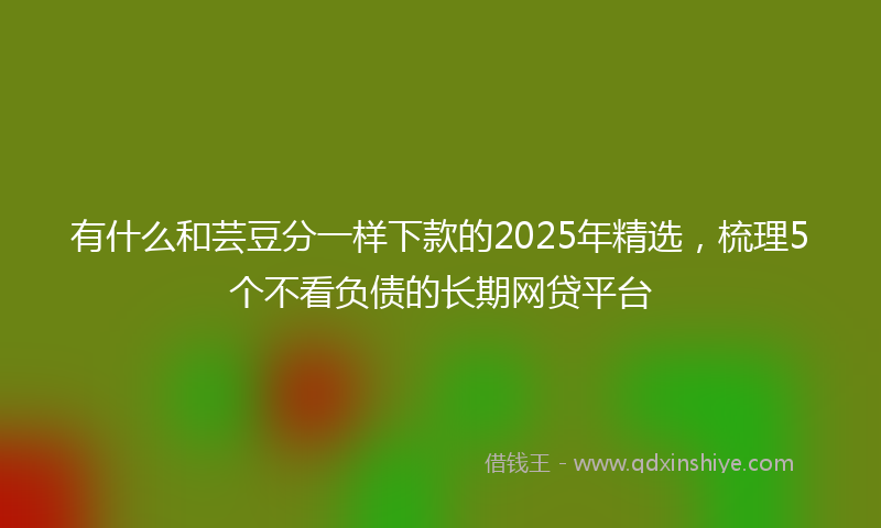 有什么和芸豆分一样下款的2025年精选，梳理5个不看负债的长期网贷平台