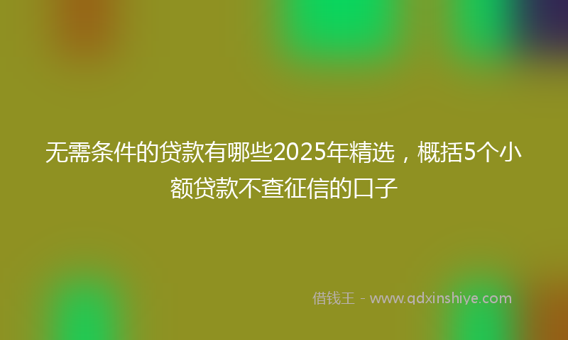 无需条件的贷款有哪些2025年精选，概括5个小额贷款不查征信的口子