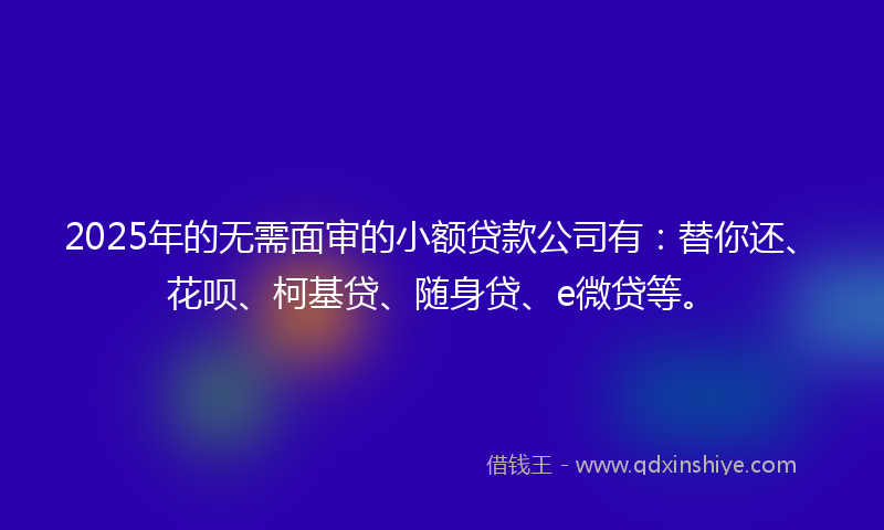 2025年的无需面审的小额贷款公司有：替你还、花呗、柯基贷、随身贷、e微贷等。