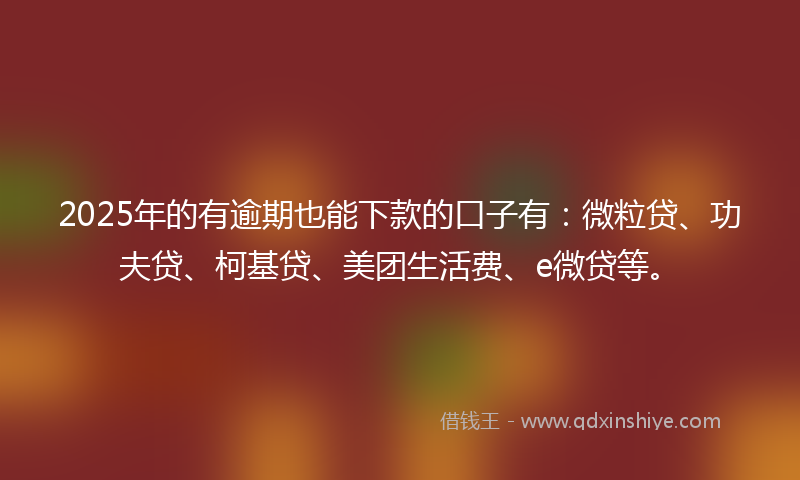 2025年的有逾期也能下款的口子有：微粒贷、功夫贷、柯基贷、美团生活费、e微贷等。