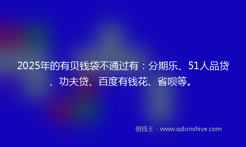 2025年的有贝钱袋不通过有：分期乐、51人品贷、功夫贷、百度有钱花、省呗等。