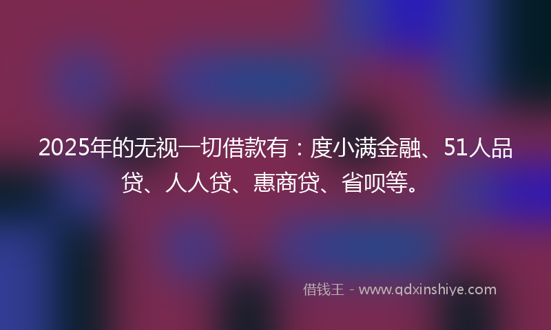 2025年的无视一切借款有：度小满金融、51人品贷、人人贷、惠商贷、省呗等。