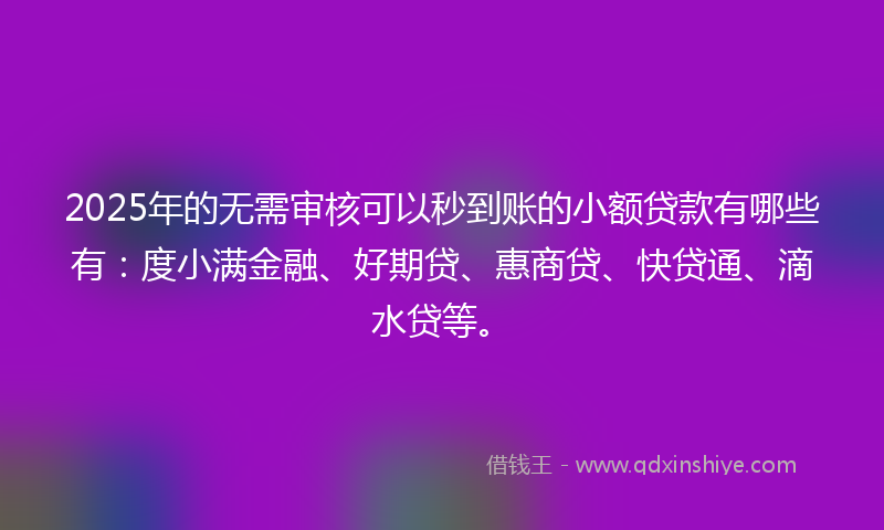 2025年的无需审核可以秒到账的小额贷款有哪些有：度小满金融、好期贷、惠商贷、快贷通、滴水贷等。