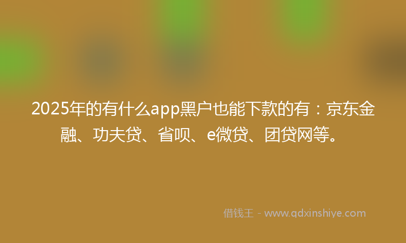 2025年的有什么app黑户也能下款的有：京东金融、功夫贷、省呗、e微贷、团贷网等。