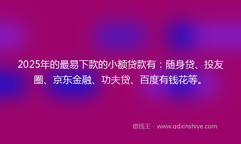 2025年的最易下款的小额贷款有：随身贷、投友圈、京东金融、功夫贷、百度有钱花等。