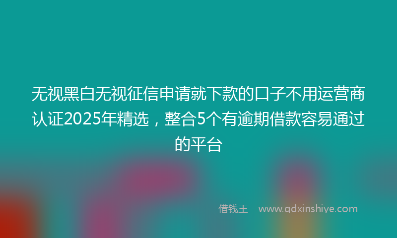 无视黑白无视征信申请就下款的口子不用运营商认证2025年精选，整合5个有逾期借款容易通过的平台