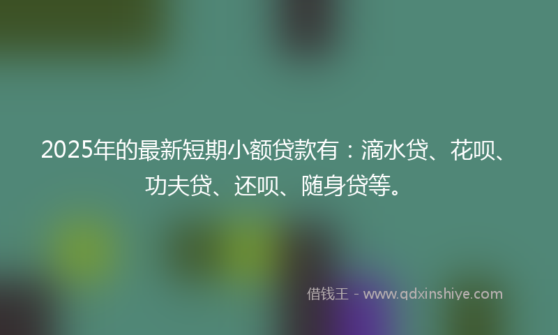 2025年的最新短期小额贷款有：滴水贷、花呗、功夫贷、还呗、随身贷等。