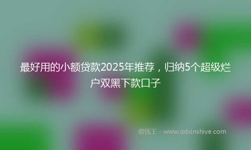 最好用的小额贷款2025年推荐，归纳5个超级烂户双黑下款口子