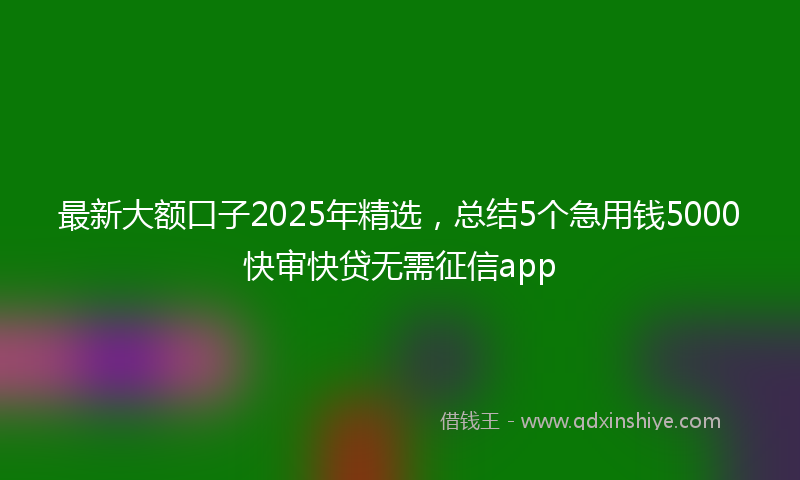 最新大额口子2025年精选，总结5个急用钱5000快审快贷无需征信app