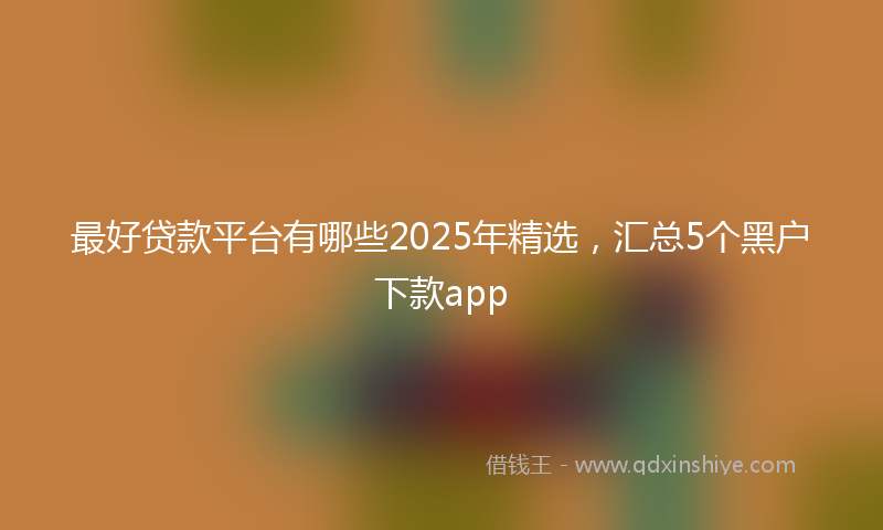 最好贷款平台有哪些2025年精选，汇总5个黑户下款app
