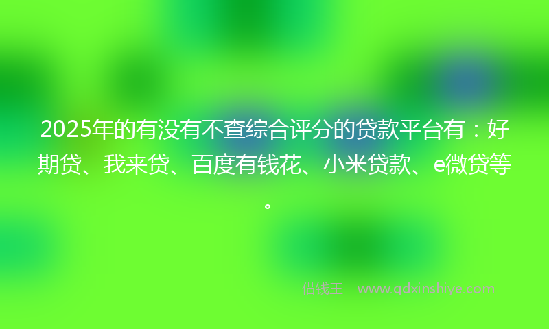 2025年的有没有不查综合评分的贷款平台有：好期贷、我来贷、百度有钱花、小米贷款、e微贷等。