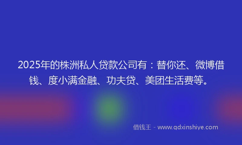 2025年的株洲私人贷款公司有：替你还、微博借钱、度小满金融、功夫贷、美团生活费等。