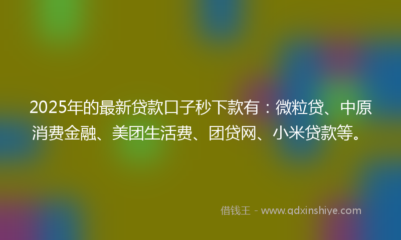 2025年的最新贷款口子秒下款有：微粒贷、中原消费金融、美团生活费、团贷网、小米贷款等。
