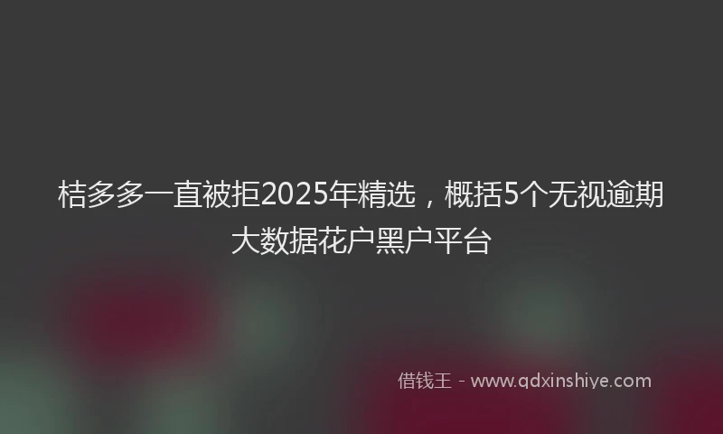 桔多多一直被拒2025年精选，概括5个无视逾期大数据花户黑户平台
