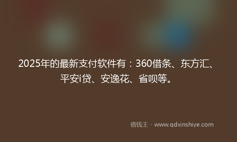2025年的最新支付软件有：360借条、东方汇、平安i贷、安逸花、省呗等。