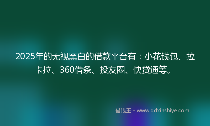 2025年的无视黑白的借款平台有：小花钱包、拉卡拉、360借条、投友圈、快贷通等。