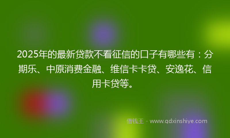 2025年的最新贷款不看征信的口子有哪些有：分期乐、中原消费金融、维信卡卡贷、安逸花、信用卡贷等。