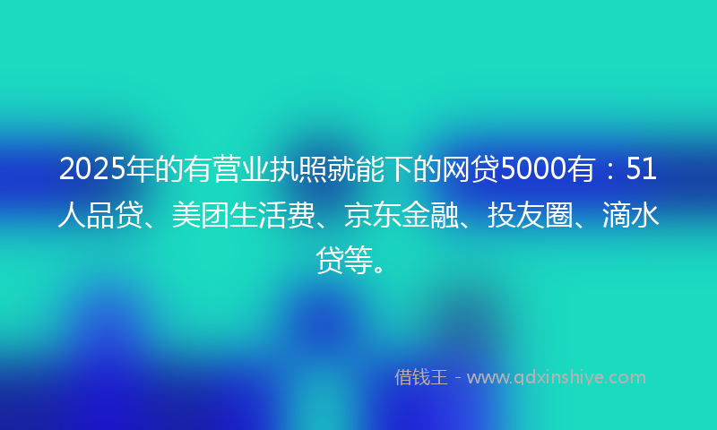 2025年的有营业执照就能下的网贷5000有：51人品贷、美团生活费、京东金融、投友圈、滴水贷等。