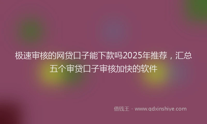 极速审核的网贷口子能下款吗2025年推荐，汇总五个审贷口子审核加快的软件